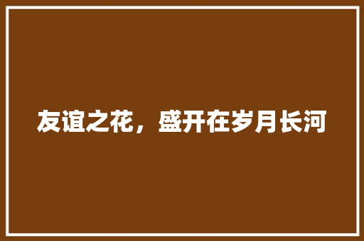 友谊之花，盛开在岁月长河