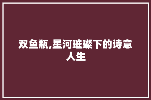 双鱼瓶,星河璀璨下的诗意人生