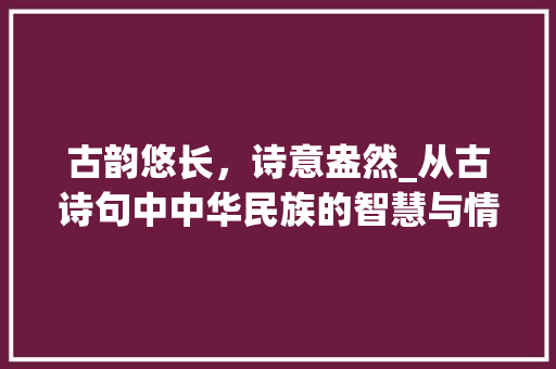 古韵悠长，诗意盎然_从古诗句中中华民族的智慧与情感