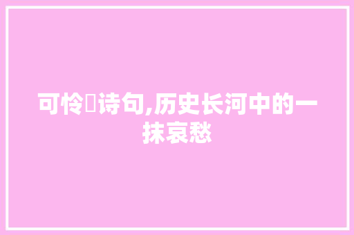 可怜旳诗句,历史长河中的一抹哀愁