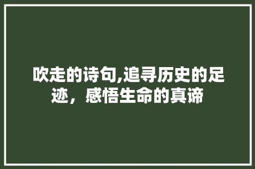 吹走的诗句,追寻历史的足迹，感悟生命的真谛