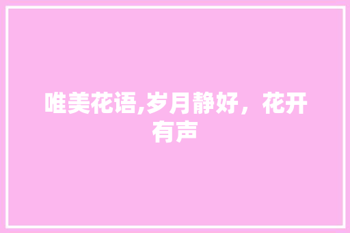 唯美花语,岁月静好，花开有声