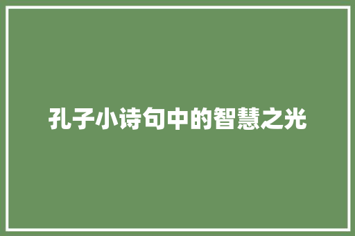 孔子小诗句中的智慧之光