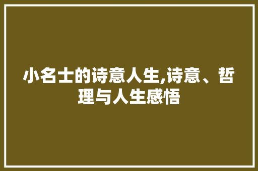 小名士的诗意人生,诗意、哲理与人生感悟