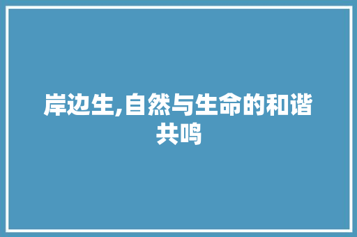 岸边生,自然与生命的和谐共鸣