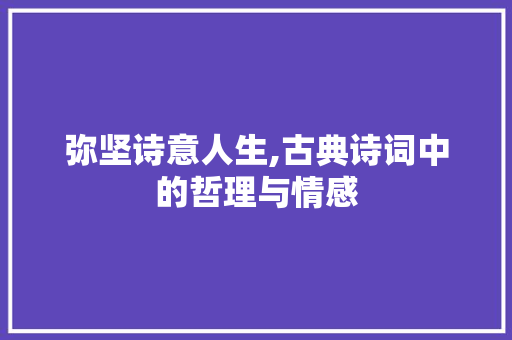 弥坚诗意人生,古典诗词中的哲理与情感