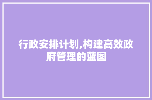 行政安排计划,构建高效政府管理的蓝图