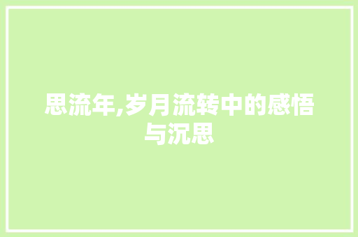 思流年,岁月流转中的感悟与沉思