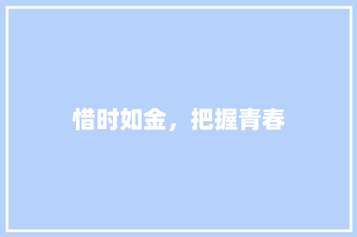 惜时如金，把握青春 个人简历