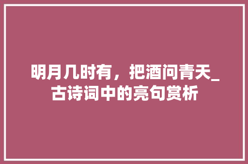 明月几时有，把酒问青天_古诗词中的亮句赏析 成语大全
