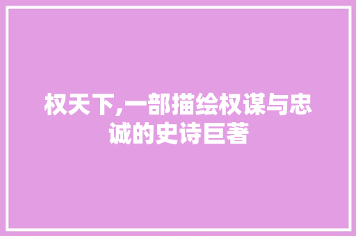 权天下,一部描绘权谋与忠诚的史诗巨著
