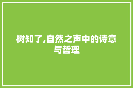 树知了,自然之声中的诗意与哲理