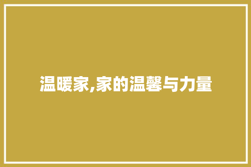 温暖家,家的温馨与力量