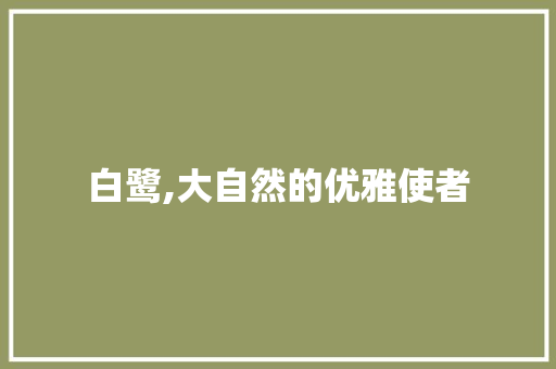 白鹭,大自然的优雅使者