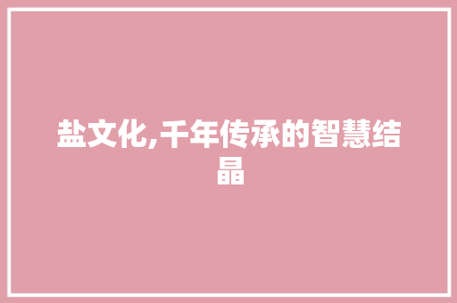 盐文化,千年传承的智慧结晶
