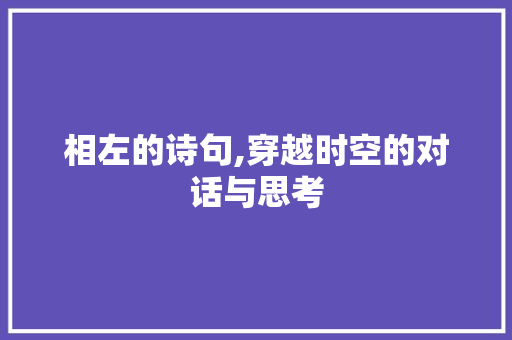 相左的诗句,穿越时空的对话与思考