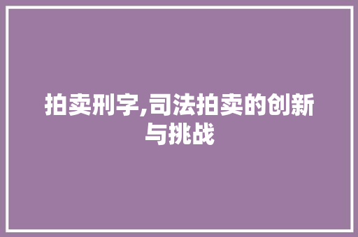 拍卖刑字,司法拍卖的创新与挑战