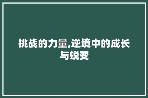 挑战的力量,逆境中的成长与蜕变