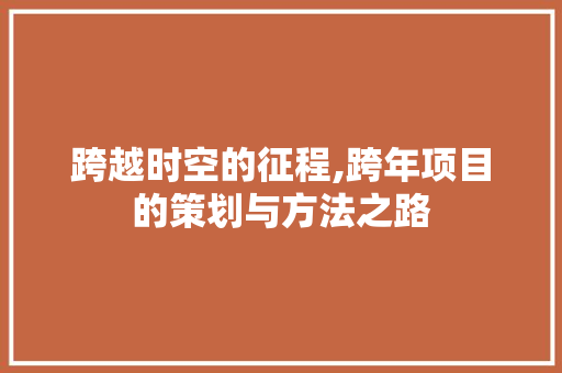 跨越时空的征程,跨年项目的策划与方法之路 工作计划