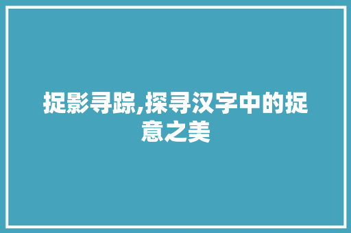 捉影寻踪,探寻汉字中的捉意之美
