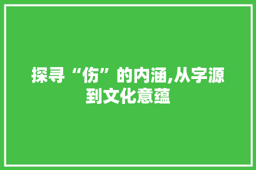探寻“伤”的内涵,从字源到文化意蕴