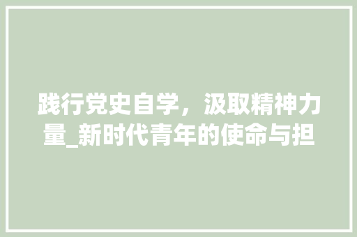 践行党史自学，汲取精神力量_新时代青年的使命与担当