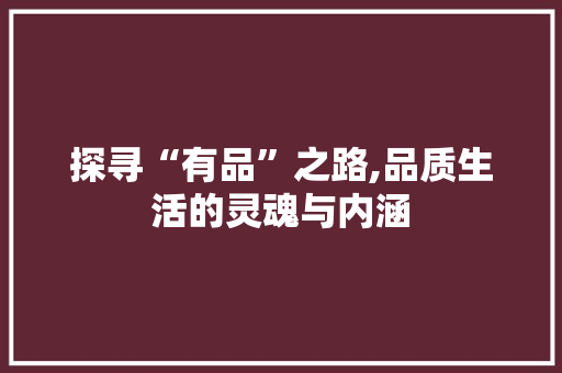 探寻“有品”之路,品质生活的灵魂与内涵