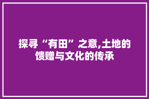 探寻“有田”之意,土地的馈赠与文化的传承