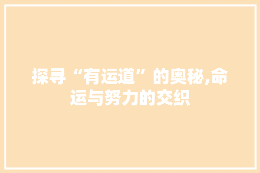 探寻“有运道”的奥秘,命运与努力的交织