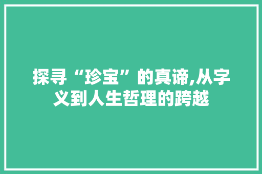 探寻“珍宝”的真谛,从字义到人生哲理的跨越
