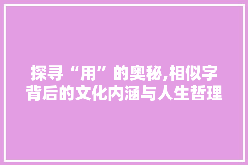 探寻“用”的奥秘,相似字背后的文化内涵与人生哲理