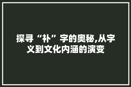 探寻“补”字的奥秘,从字义到文化内涵的演变