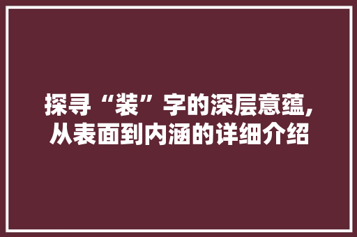 探寻“装”字的深层意蕴,从表面到内涵的详细介绍