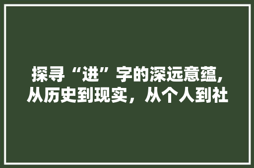 探寻“进”字的深远意蕴,从历史到现实，从个人到社会 个人简历