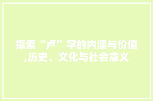 探索“卢”字的内涵与价值,历史、文化与社会意义