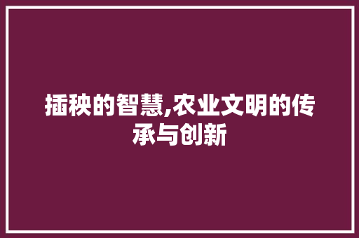 插秧的智慧,农业文明的传承与创新