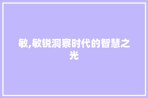 敏,敏锐洞察时代的智慧之光