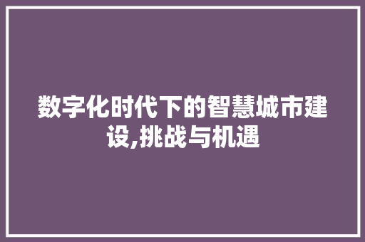数字化时代下的智慧城市建设,挑战与机遇 工作计划