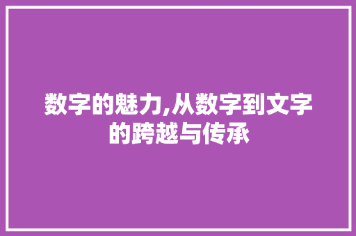 数字的魅力,从数字到文字的跨越与传承