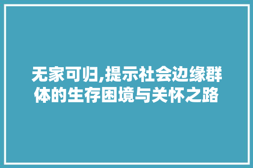 无家可归,提示社会边缘群体的生存困境与关怀之路 诗词鉴赏