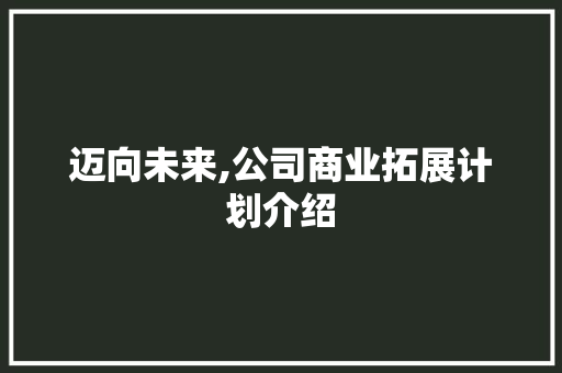 迈向未来,公司商业拓展计划介绍