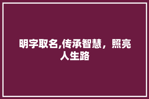 明字取名,传承智慧，照亮人生路