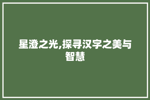 星澄之光,探寻汉字之美与智慧