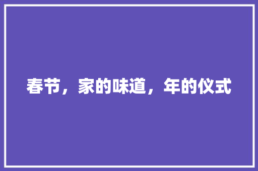春节，家的味道，年的仪式
