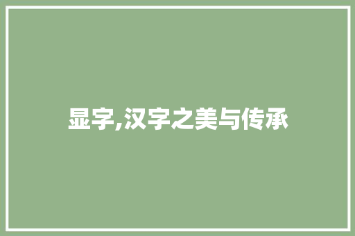 显字,汉字之美与传承