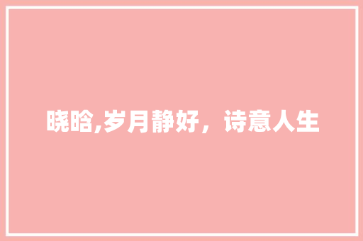 晓晗,岁月静好，诗意人生