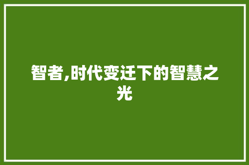 智者,时代变迁下的智慧之光