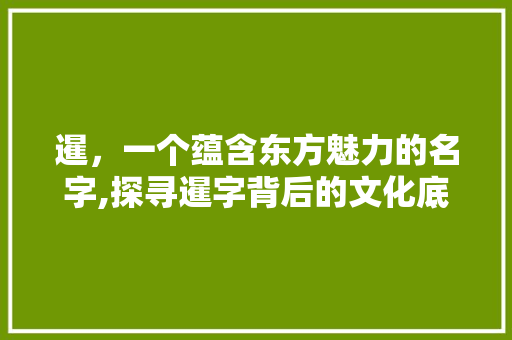 暹，一个蕴含东方魅力的名字,探寻暹字背后的文化底蕴与取名智慧