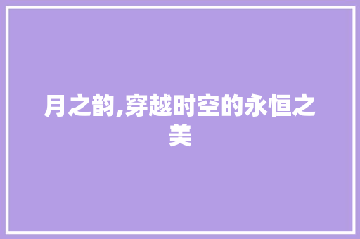月之韵,穿越时空的永恒之美