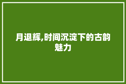 月退辉,时间沉淀下的古韵魅力 国学经典
